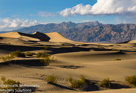 Golden Dunes